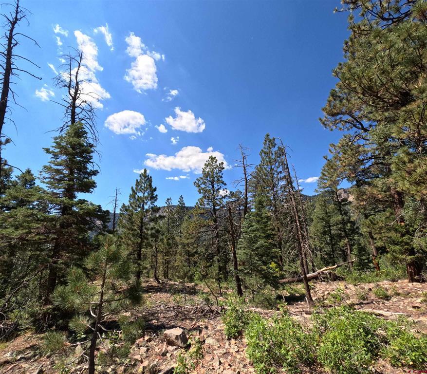 48 Ponderosa Way Durango CO 81301