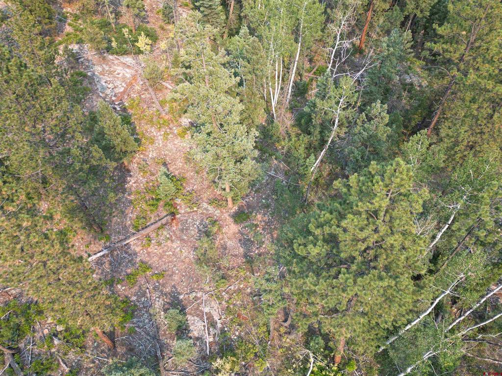 48 Ponderosa Way Durango CO 81301