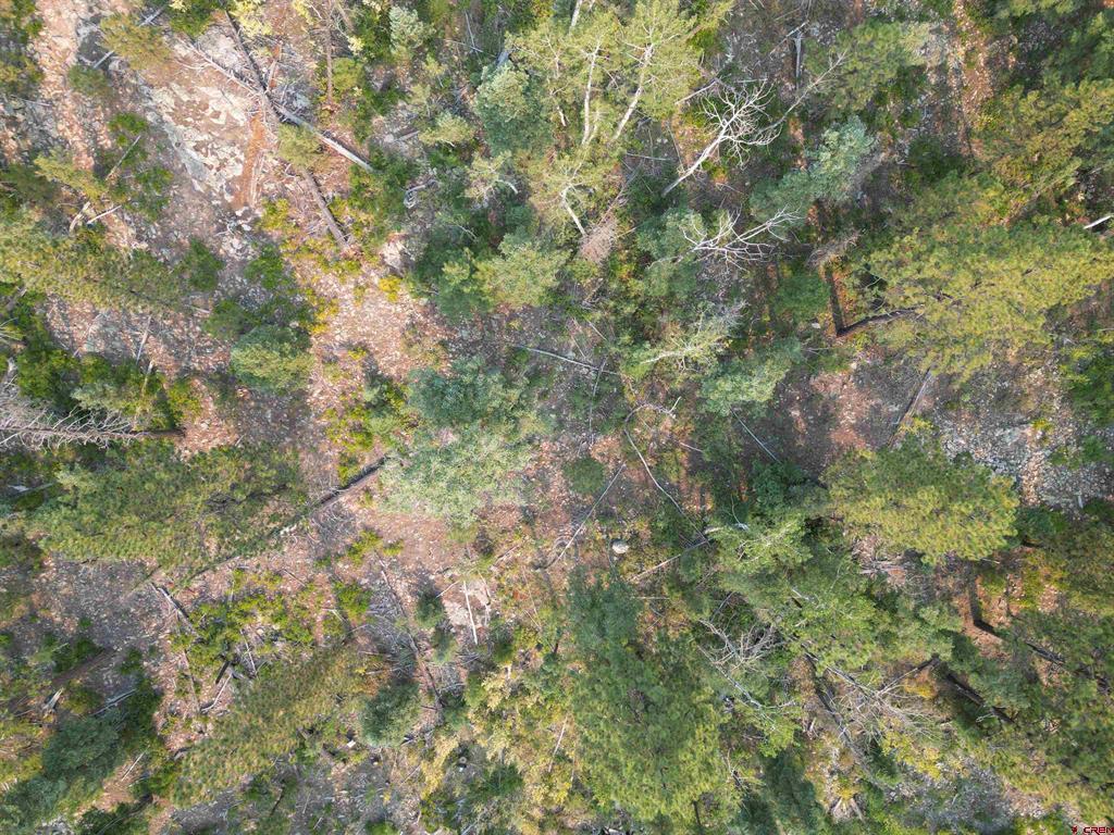 48 Ponderosa Way Durango CO 81301