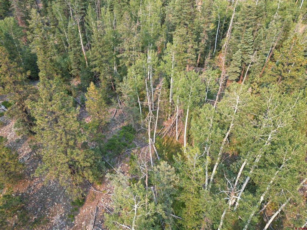 48 Ponderosa Way Durango CO 81301