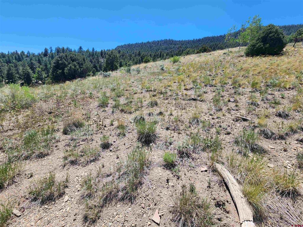 120 Fairway Ridge Lane South Fork CO 81154