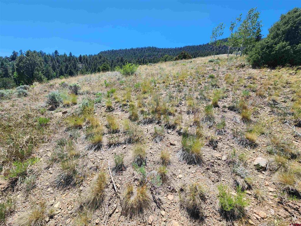 120 Fairway Ridge Lane South Fork CO 81154