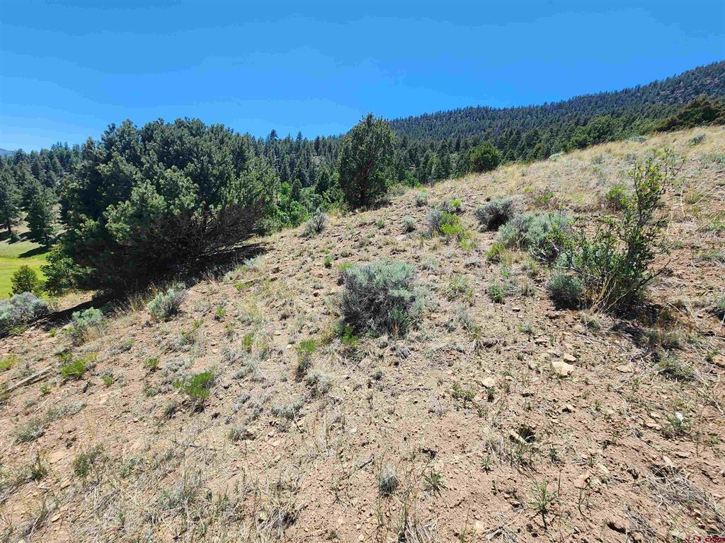 120 Fairway Ridge Lane South Fork CO 81154