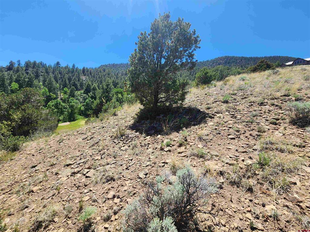 120 Fairway Ridge Lane South Fork CO 81154