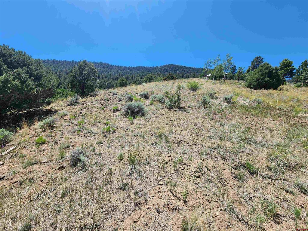 120 Fairway Ridge Lane South Fork CO 81154