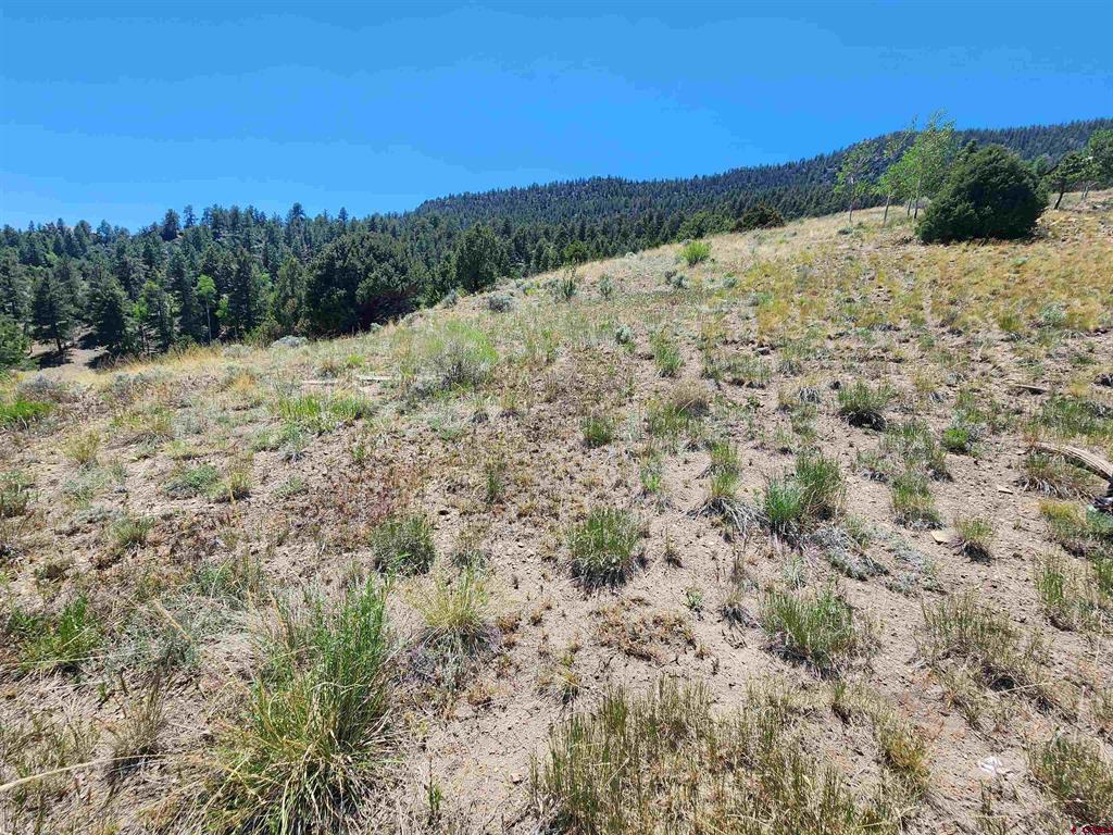 120 Fairway Ridge Lane South Fork CO 81154