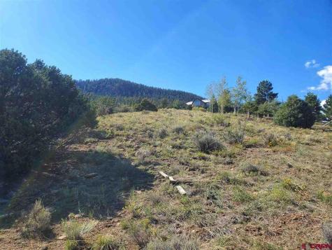 120 Fairway Ridge South Fork CO 81154