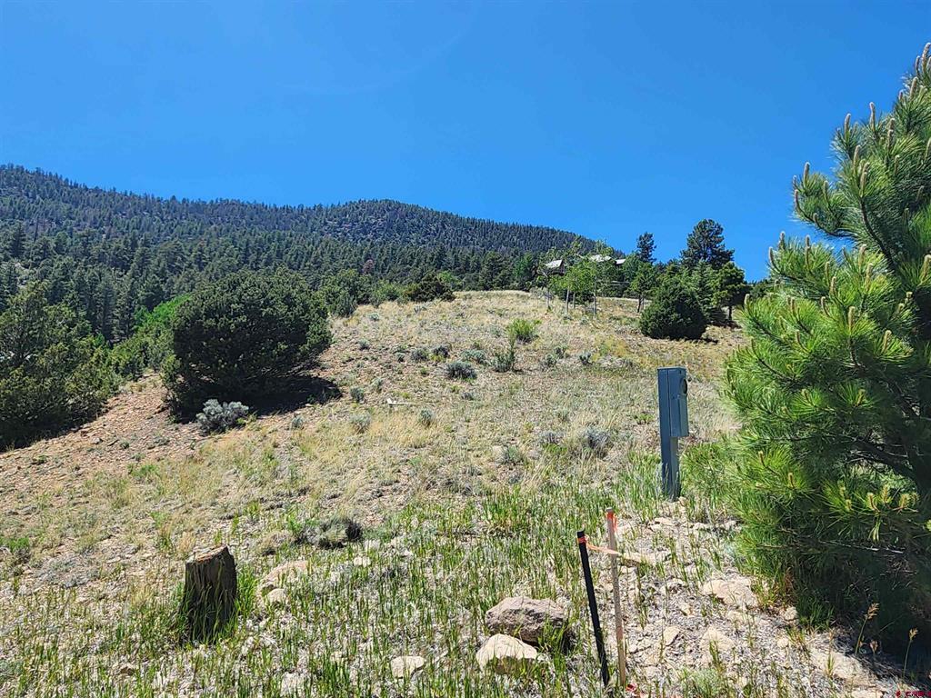 120 Fairway Ridge Lane South Fork CO 81154