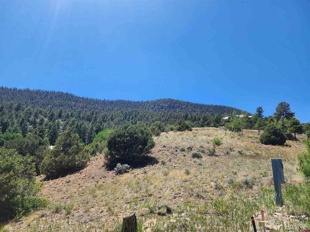 120 Fairway Ridge Lane South Fork CO 81154
