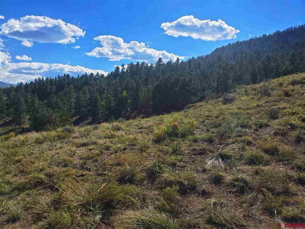 120 Fairway Ridge Lane South Fork CO 81154