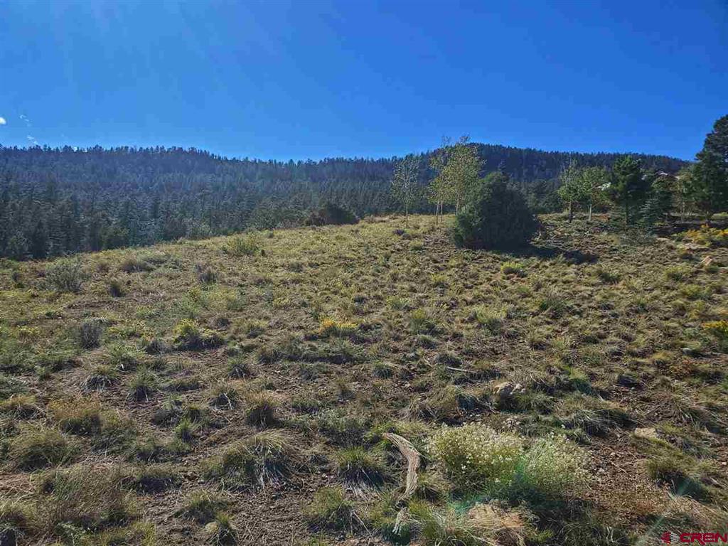 120 Fairway Ridge Lane South Fork CO 81154
