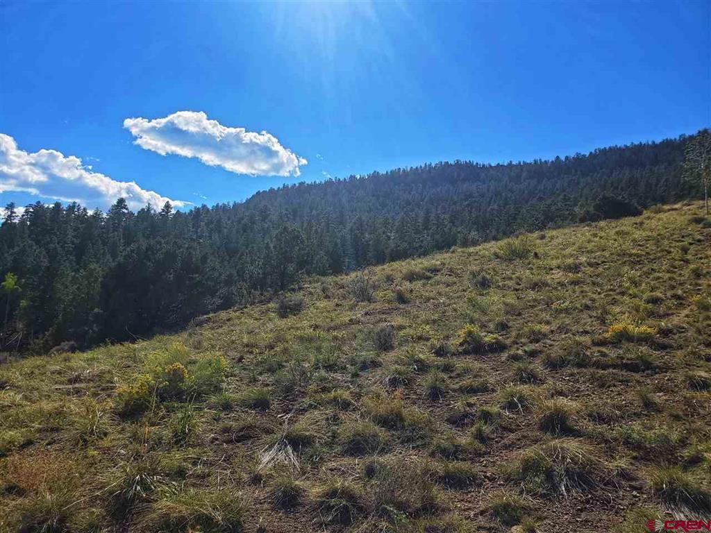 120 Fairway Ridge Lane South Fork CO 81154