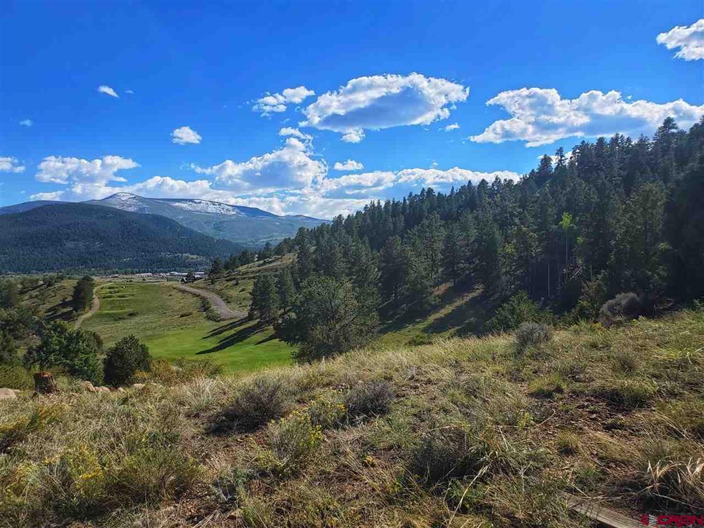 120 Fairway Ridge Lane South Fork CO 81154