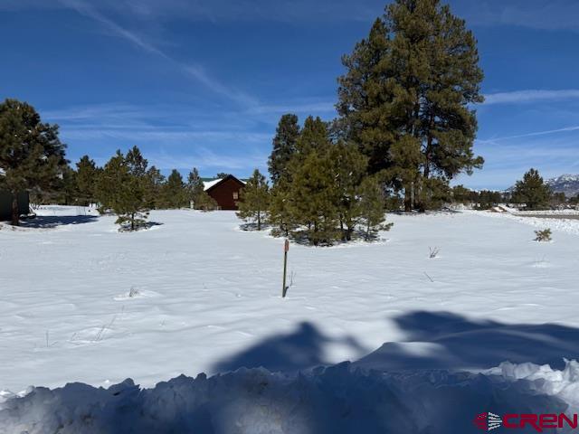 19 Monte Vista Pagosa Springs CO 81147
