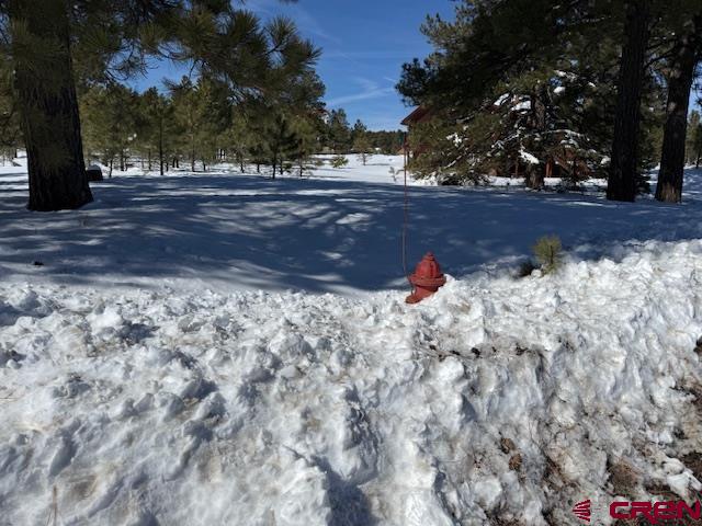 19 Monte Vista Pagosa Springs CO 81147