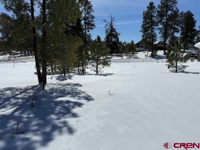 19 Monte Vista Pagosa Springs CO 81147