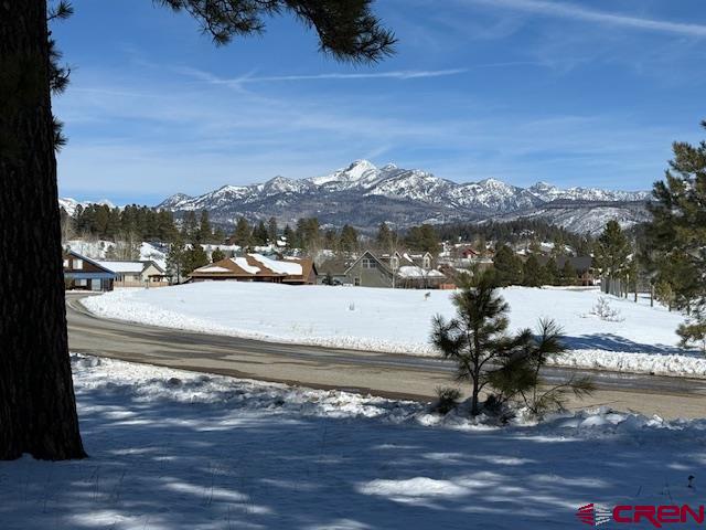 19 Monte Vista Pagosa Springs CO 81147