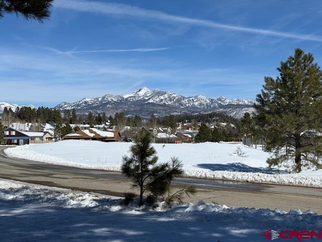 19 Monte Vista Pagosa Springs CO 81147