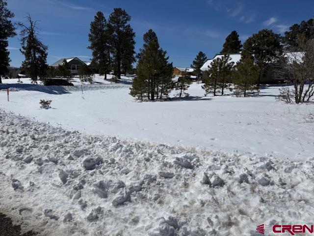 19 Monte Vista Pagosa Springs CO 81147