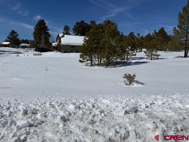 19 Monte Vista Pagosa Springs CO 81147