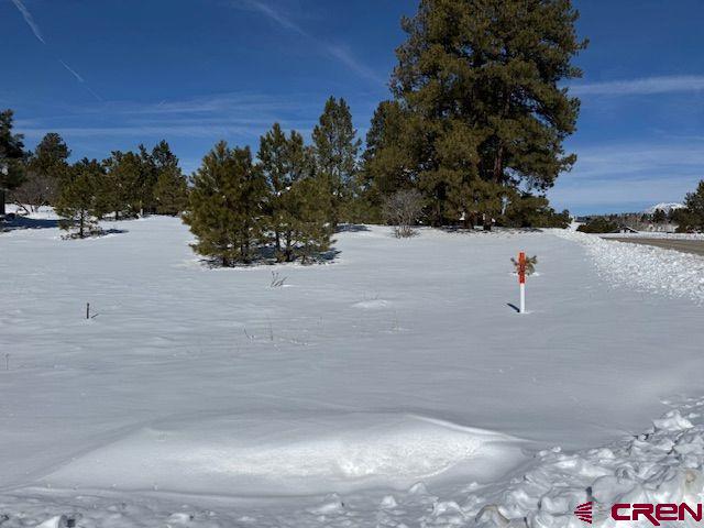 19 Monte Vista Pagosa Springs CO 81147