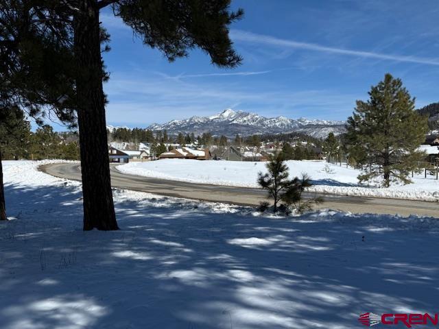 19 Monte Vista Pagosa Springs CO 81147