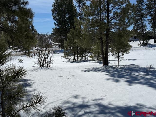 19 Monte Vista Pagosa Springs CO 81147