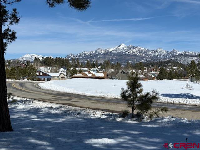 19 Monte Vista Pagosa Springs CO 81147