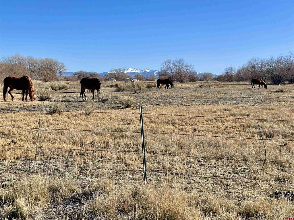 7259 Road 25 Cortez CO 81321