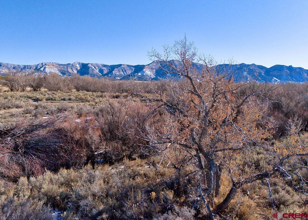 7259 Road 25 Cortez CO 81321