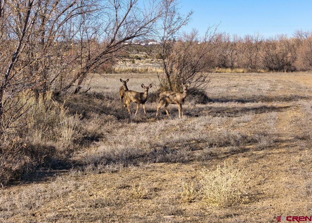 7259 Road 25 Cortez CO 81321