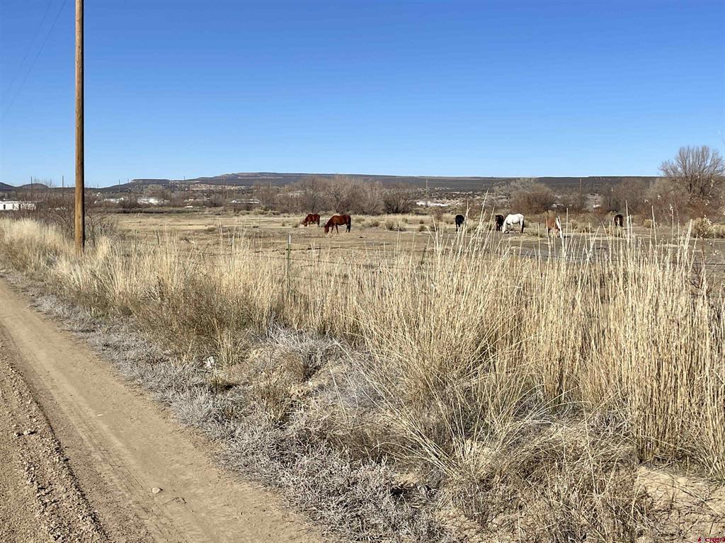 7259 Road 25 Cortez CO 81321