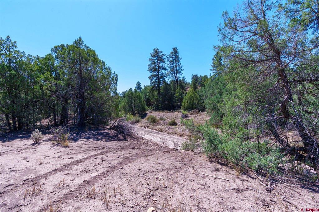 Tbd Budd Road Durango CO 81303