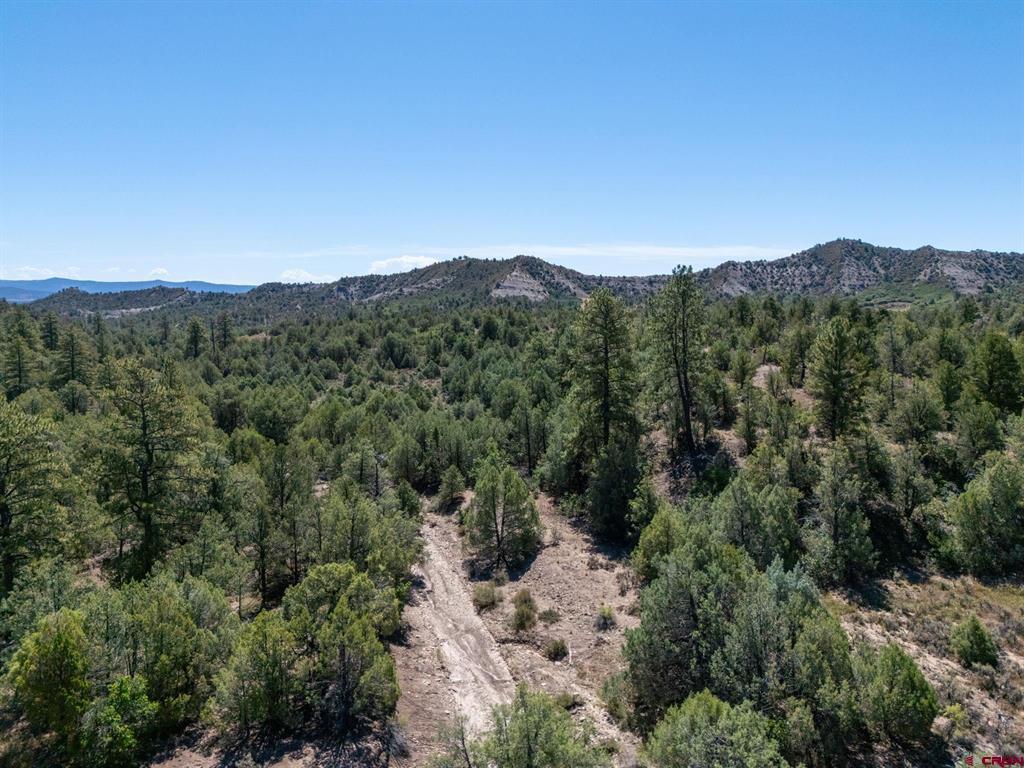 Tbd Budd Road Durango CO 81303