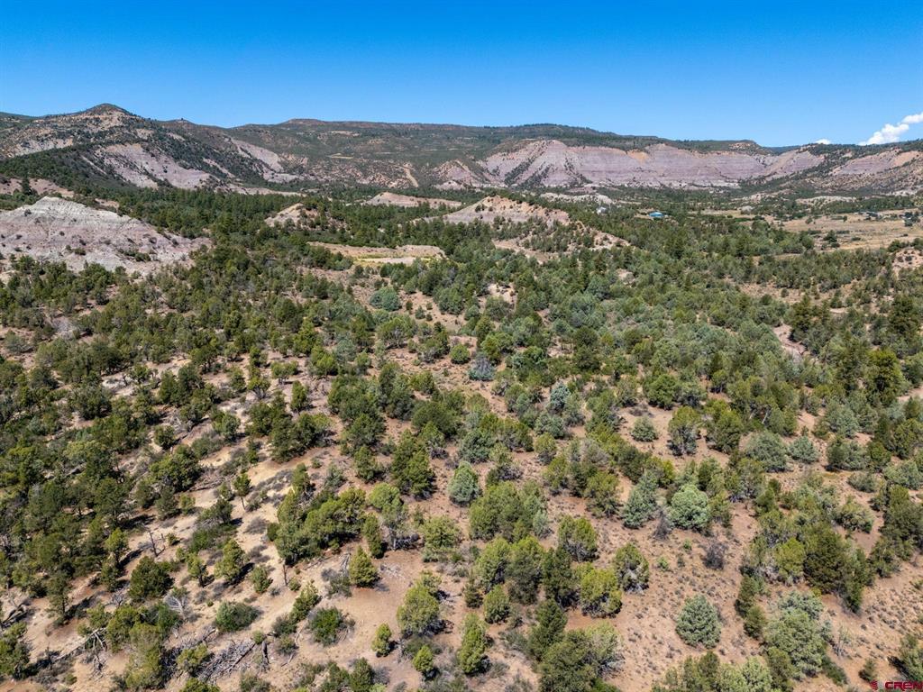 Tbd Budd Road Durango CO 81303