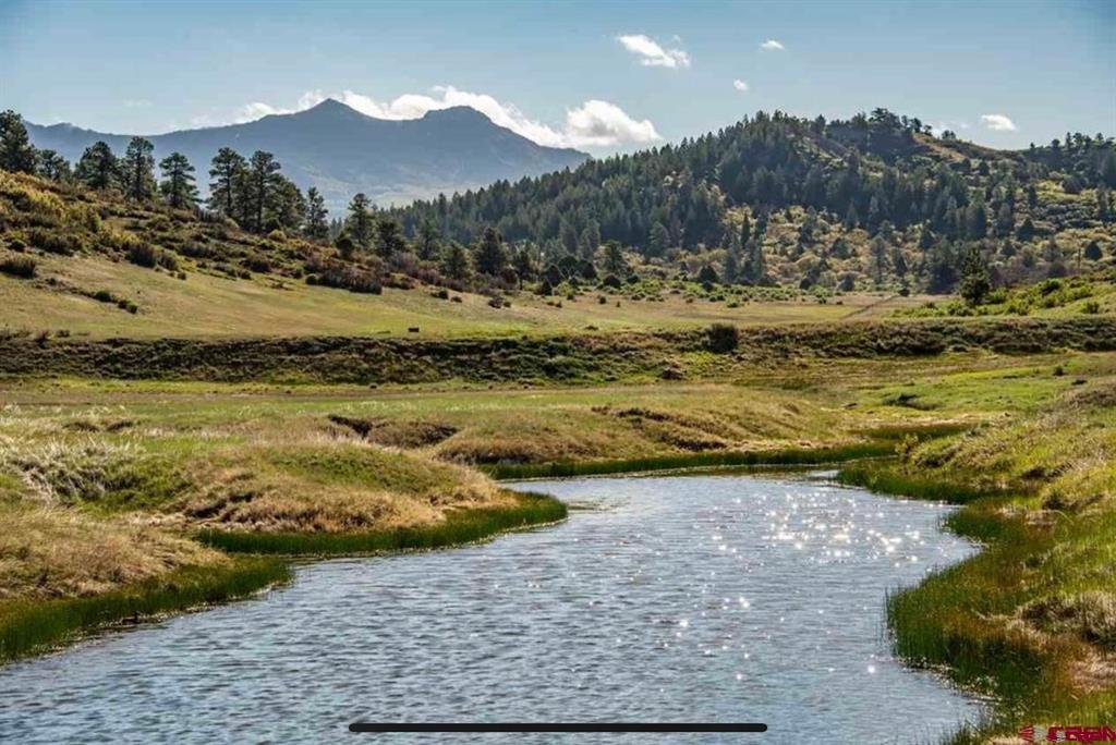 265 Spring Creek Circle Pagosa Springs CO 81147