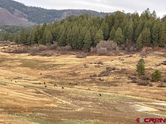265 Spring Creek Circle Pagosa Springs CO 81147