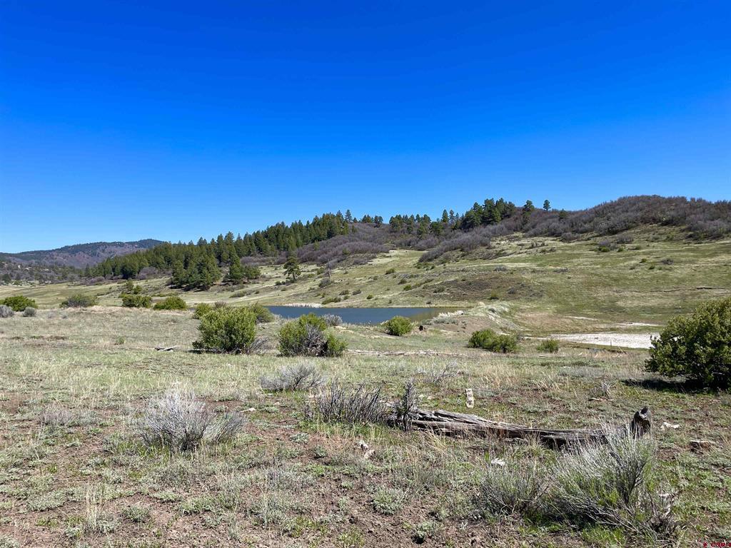 265 Spring Creek Circle Pagosa Springs CO 81147