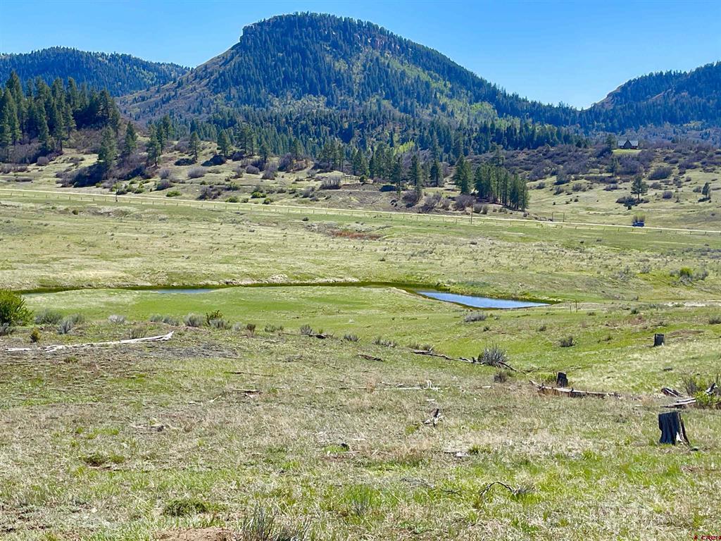 265 Spring Creek Circle Pagosa Springs CO 81147