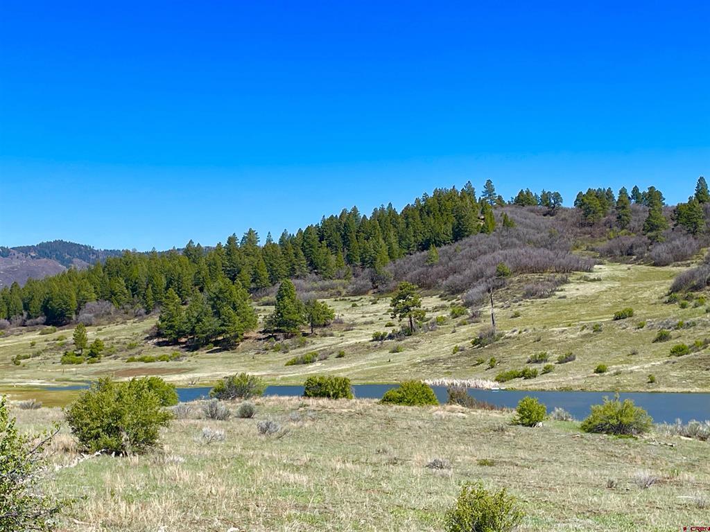 265 Spring Creek Circle Pagosa Springs CO 81147