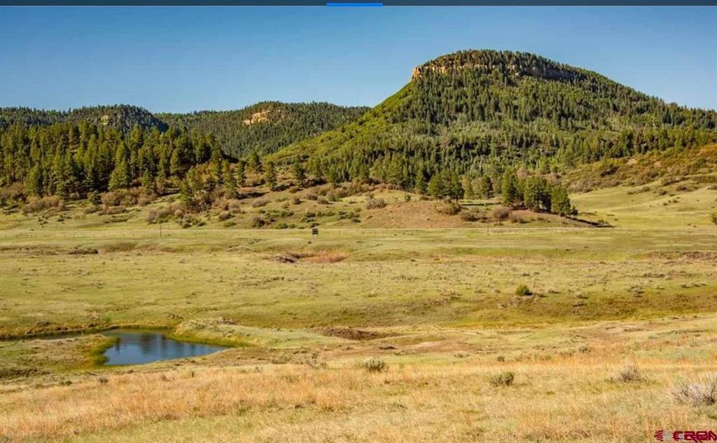 265 Spring Creek Circle Pagosa Springs CO 81147
