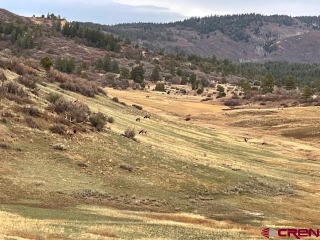265 Spring Creek Circle Pagosa Springs CO 81147