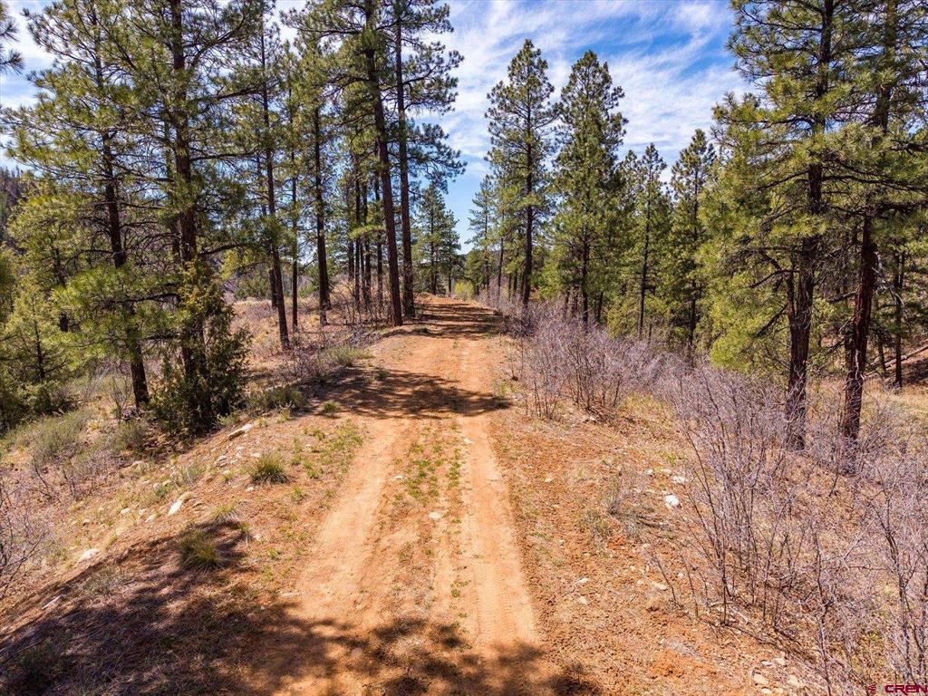 77 Culebra Circle Durango CO 81301