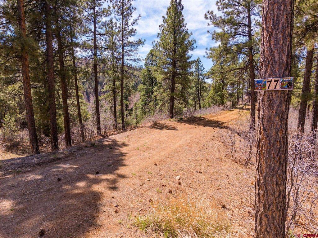 77 Culebra Circle Durango CO 81301