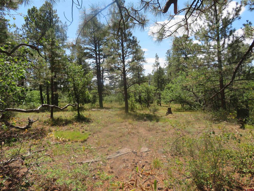 142 Rimview Road Pagosa Springs CO 81147