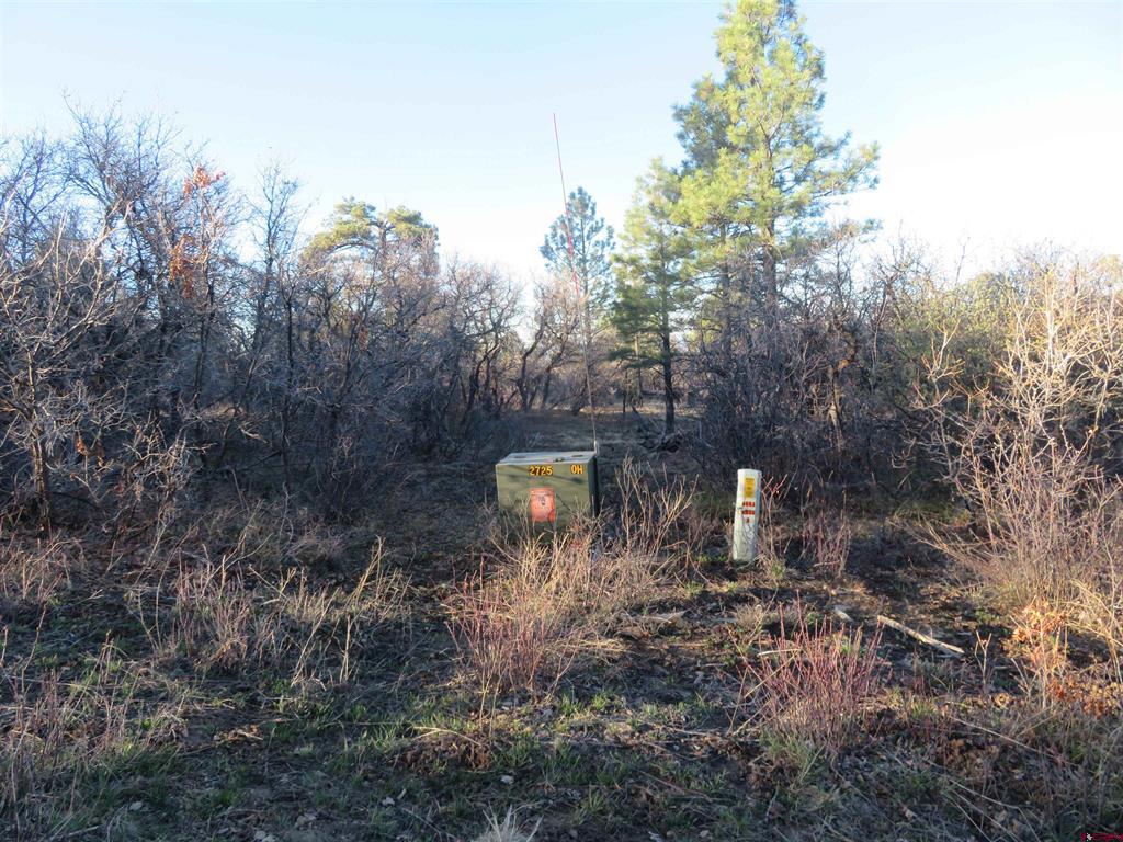 142 Rimview Road Pagosa Springs CO 81147