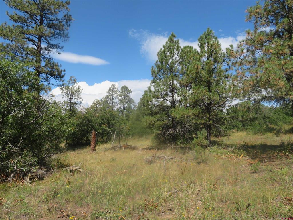 142 Rimview Road Pagosa Springs CO 81147