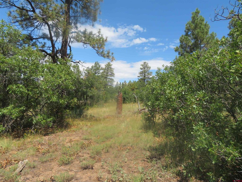142 Rimview Road Pagosa Springs CO 81147