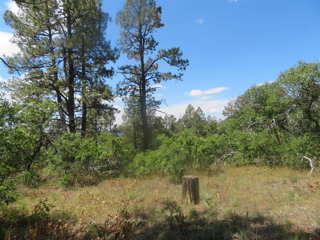 142 Rimview Road Pagosa Springs CO 81147