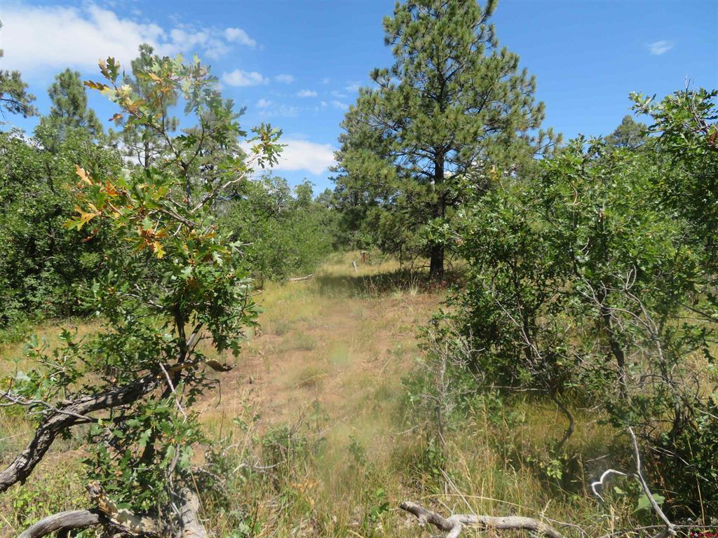 142 Rimview Road Pagosa Springs CO 81147